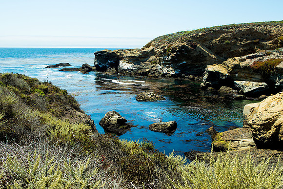 Point Lobos