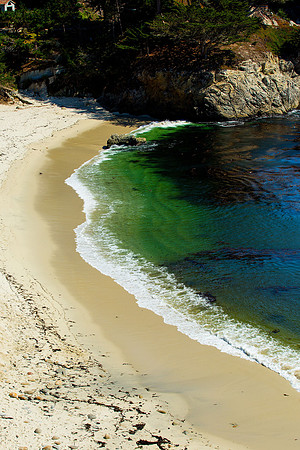 Point Lobos