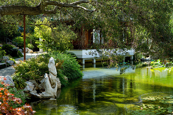 Chinese Garden