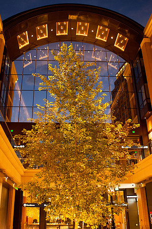 City Creek Mall
