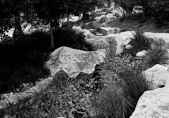 Water Feature