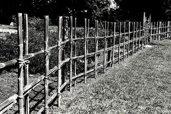 Bamboo Fence