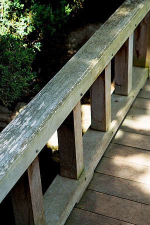 Japanese Garden Bridge