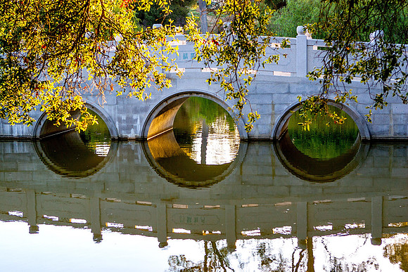 Chinese Garden