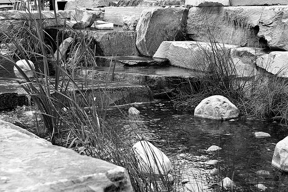Water Feature