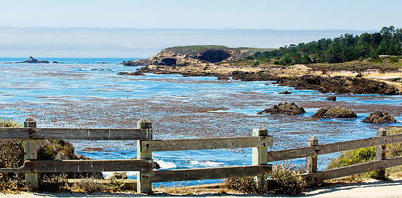 Point Lobos