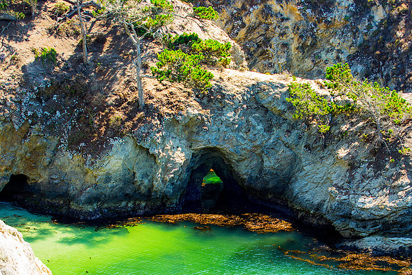 Point Lobos