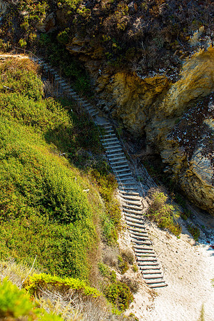 Point Lobos