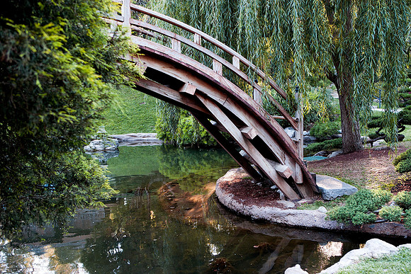 Japanese Garden Bridge