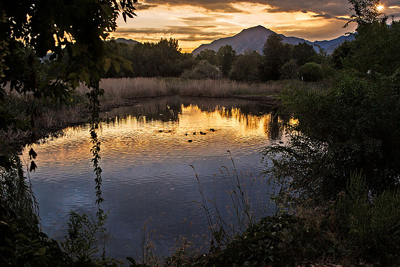 Pond at Sunrise