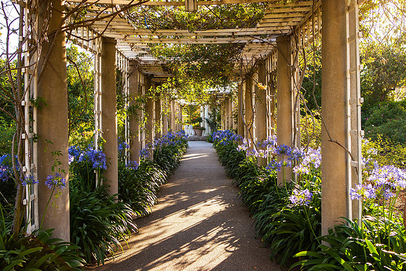 Pergola