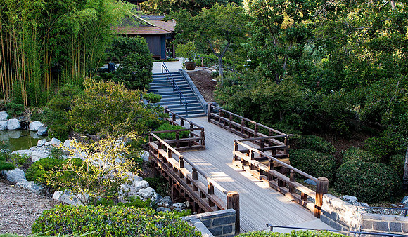 Japanese Garden